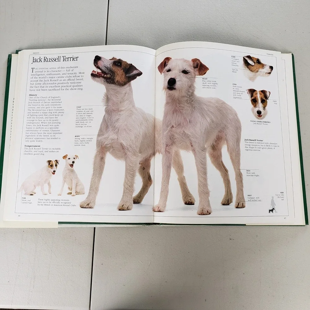 The Ultimate Dog Book David Taylor Hardcover 1990 Illustrated Breeds Guide